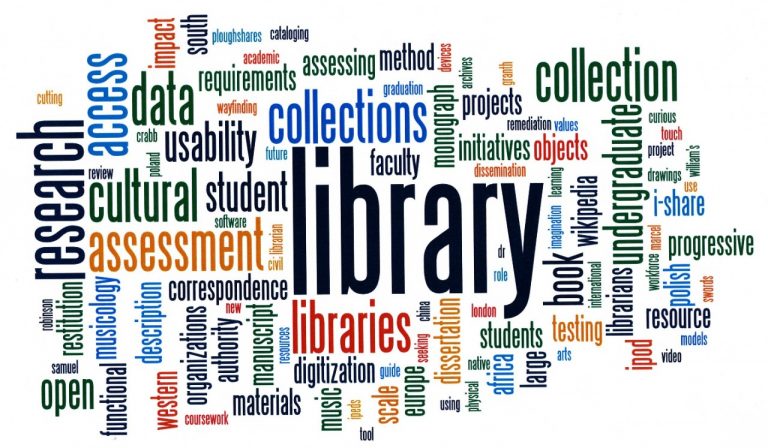 library literature is the term used to refer to